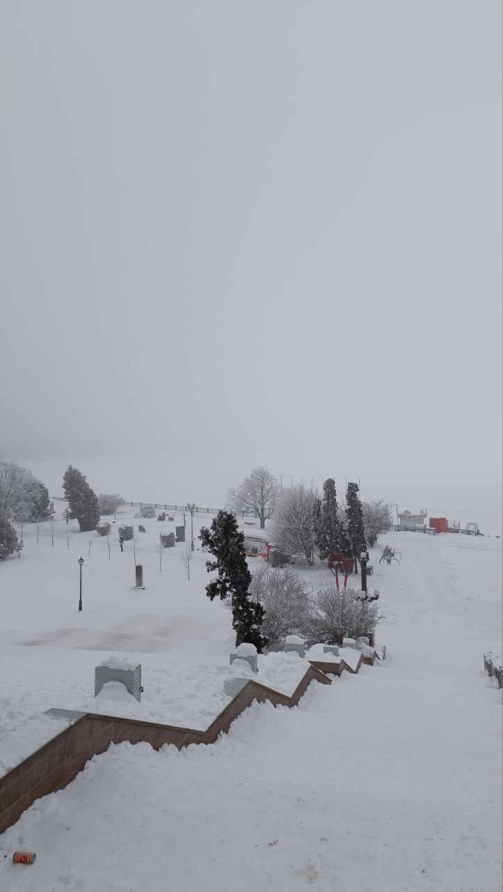 Новини Тернополя - фото з Не видно берега. Тернопільський став накрив густий туман