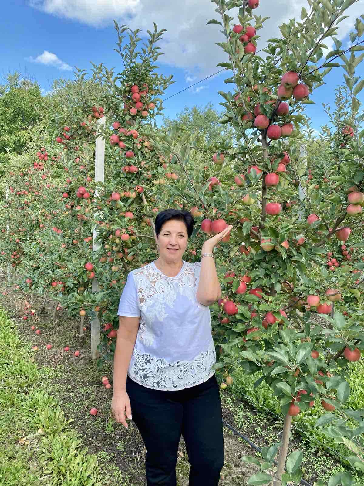 Новини Хмельницького - фото з Президент відзначив жителів Хмельниччини званнями «заслужених»