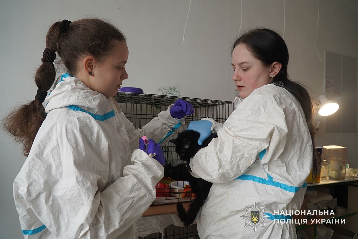 Новини Тернополя - фото з Просила врятувати її та тварин: жінка зі Збаражчини кілька днів провела в холодному будинку без їжі