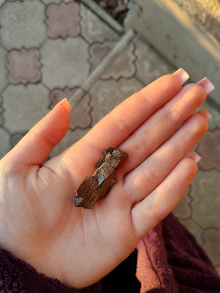 Новини Вінниці - фото з Із прифронтового Марганця — у журналістику: як 17-річна Настя будує нове життя у Вінниці (соціальна реклама)