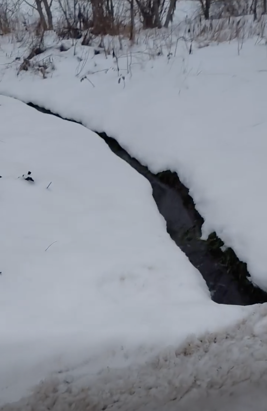 У Хмельницькому зафіксували теплі потоки у притоку Бугу: активісти підозрюють стоки