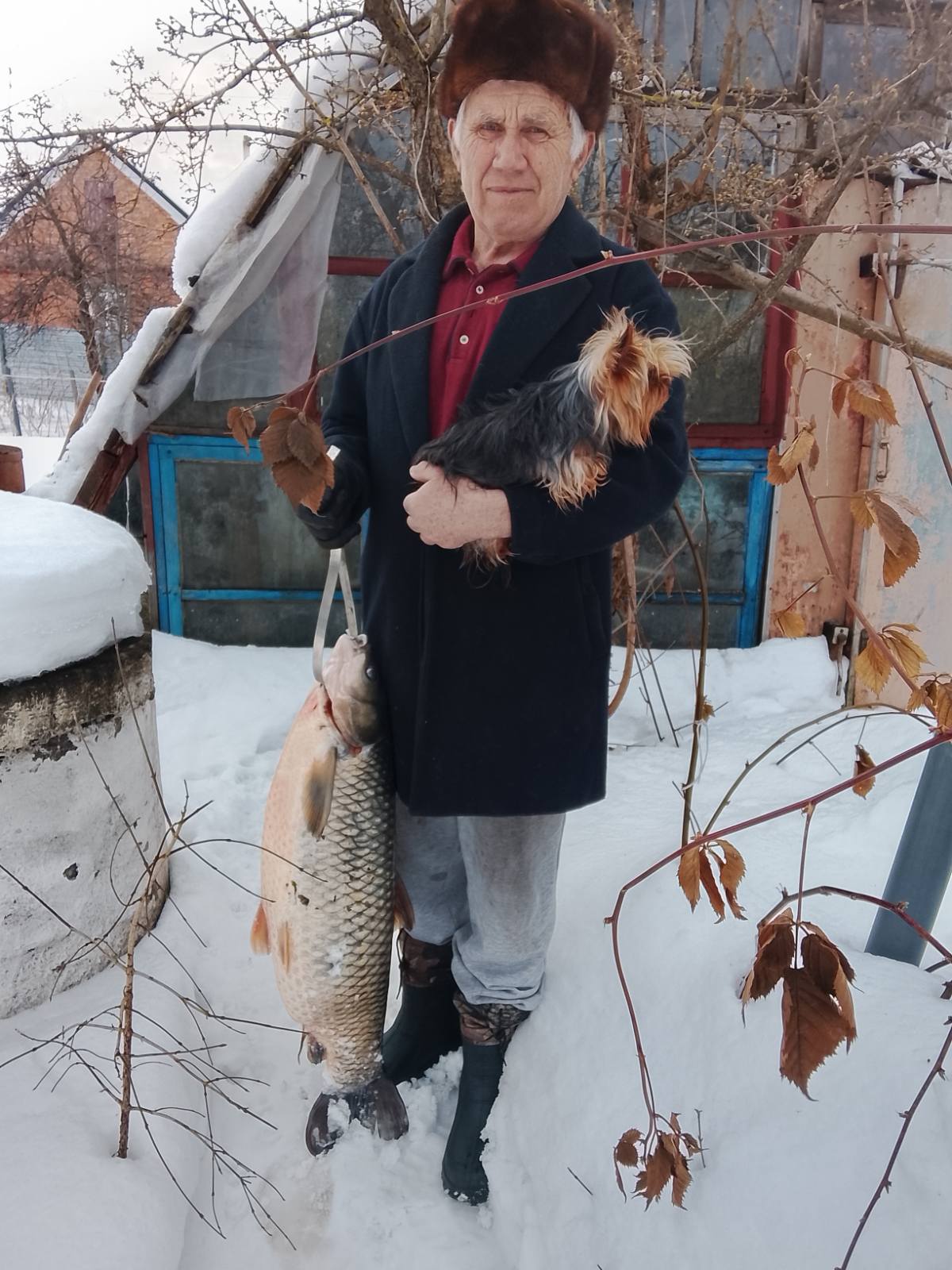 Новини Козятина - фото з Агресивна чапля мітила у око, кусала пальці і, врешті, втекла від свого рятівника