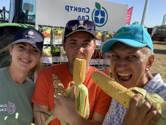 Новини Вінниці - фото з «Солодкувате, м’яке та без гірчинки»: вінницький селекціонер створив ель із кукурудзи