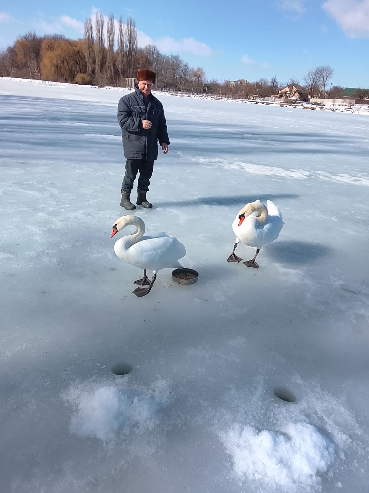 Новини Козятина - фото з Спробував сісти, як сідає на воду та подер лапи об жорсткий лід