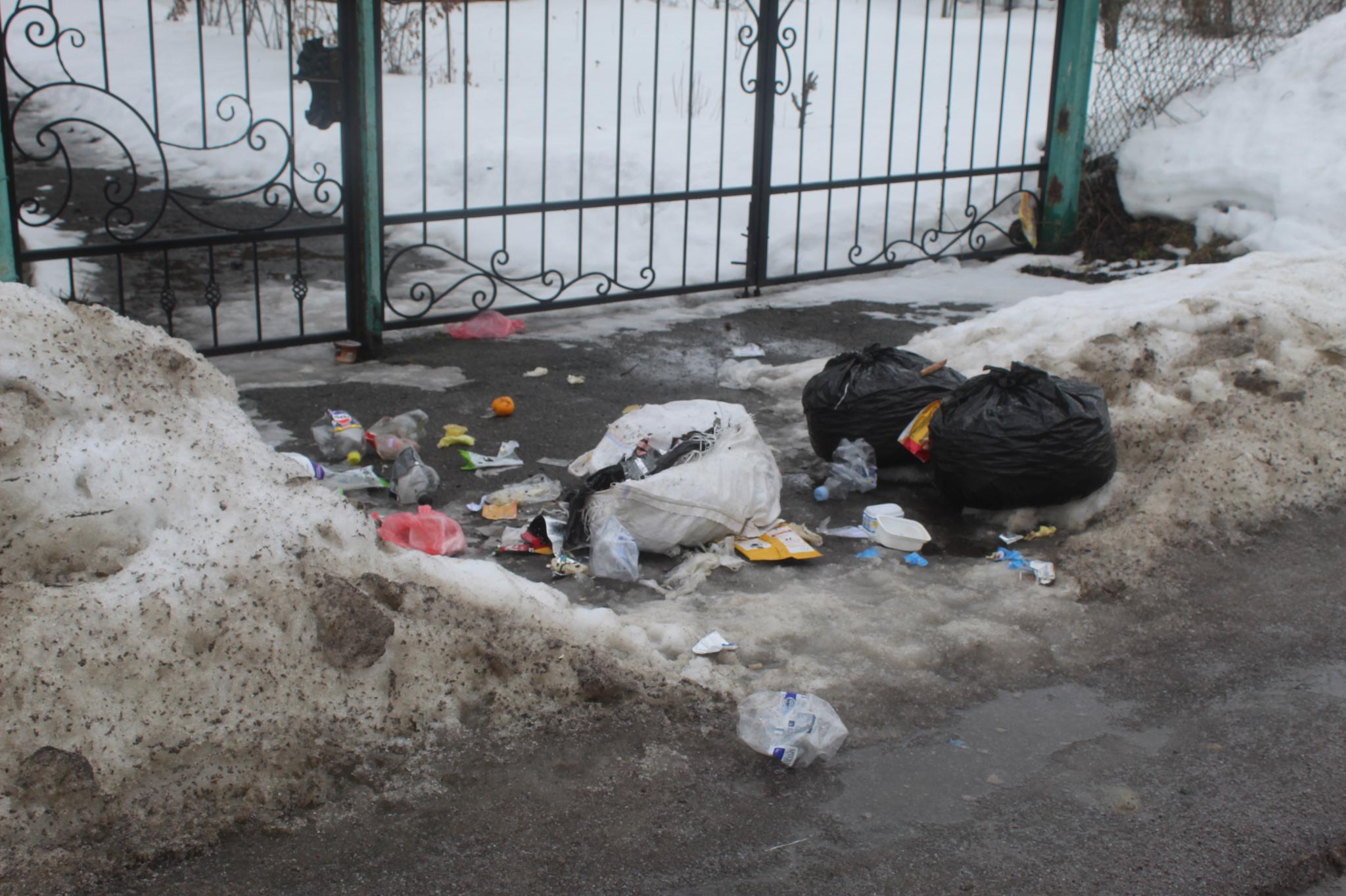 Новини Козятина - фото з Енергетики на вишці, лижні спогади та собаче свавілля