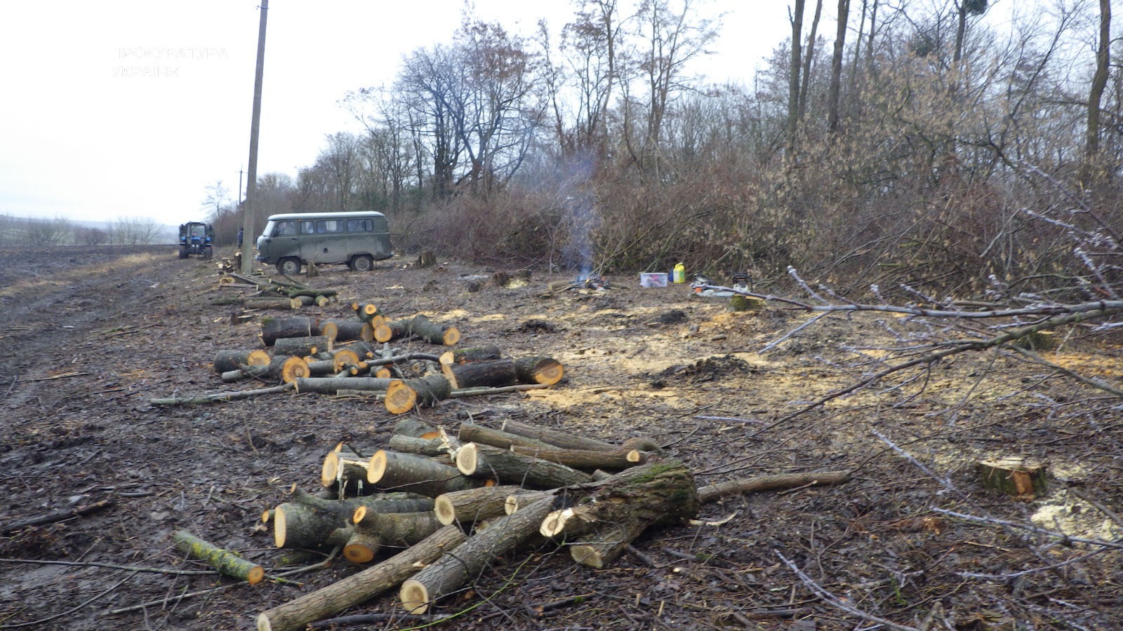 На Тернопільщині судитимуть посадовця через незаконні дозволи на вирубку дерев на 1,2 млн гривень