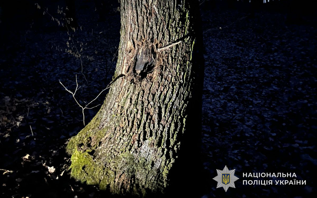 Новини Тернополя - фото з Від вибуху знайденого в лісі боєприпасу загинув 33-річний чоловік з Чотківщини