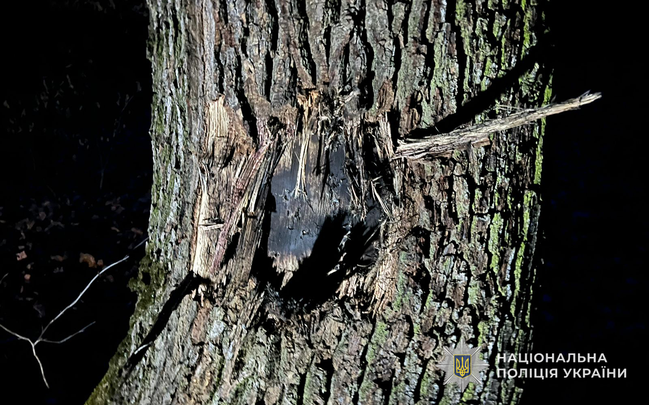 Новини Тернополя - фото з Від вибуху знайденого в лісі боєприпасу загинув 33-річний чоловік з Чотківщини
