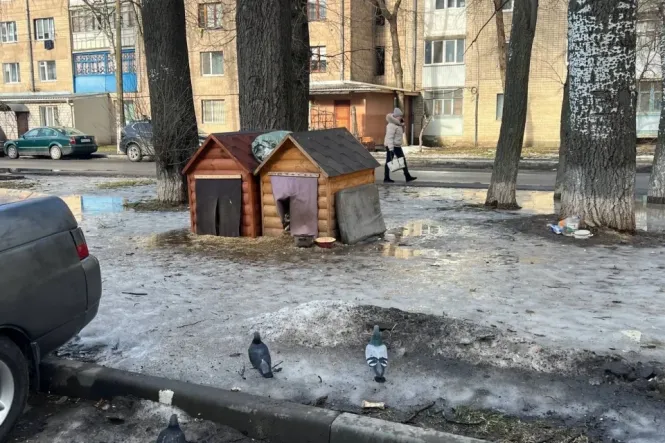 Новини Вінниці - фото з ТОП важливих новин на «20 хвилин» від 2 по 9 березня, які ви могли пропустити