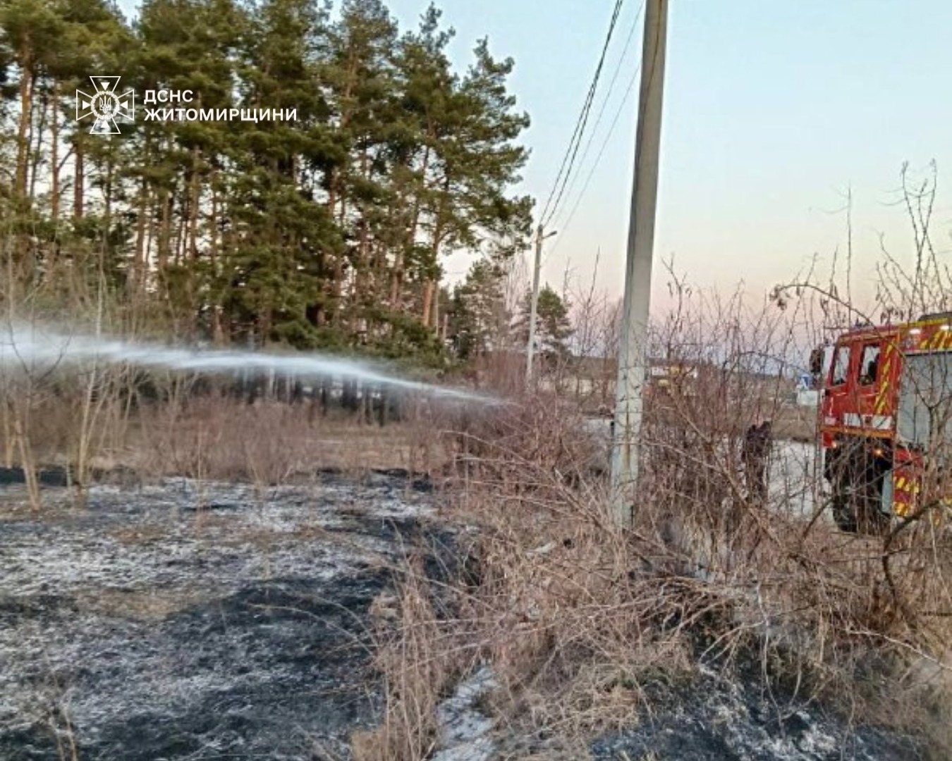 Новини Житомира - фото з За вихідні на Житомирщині під час пожеж сухої рослинності травмувалися двоє людей