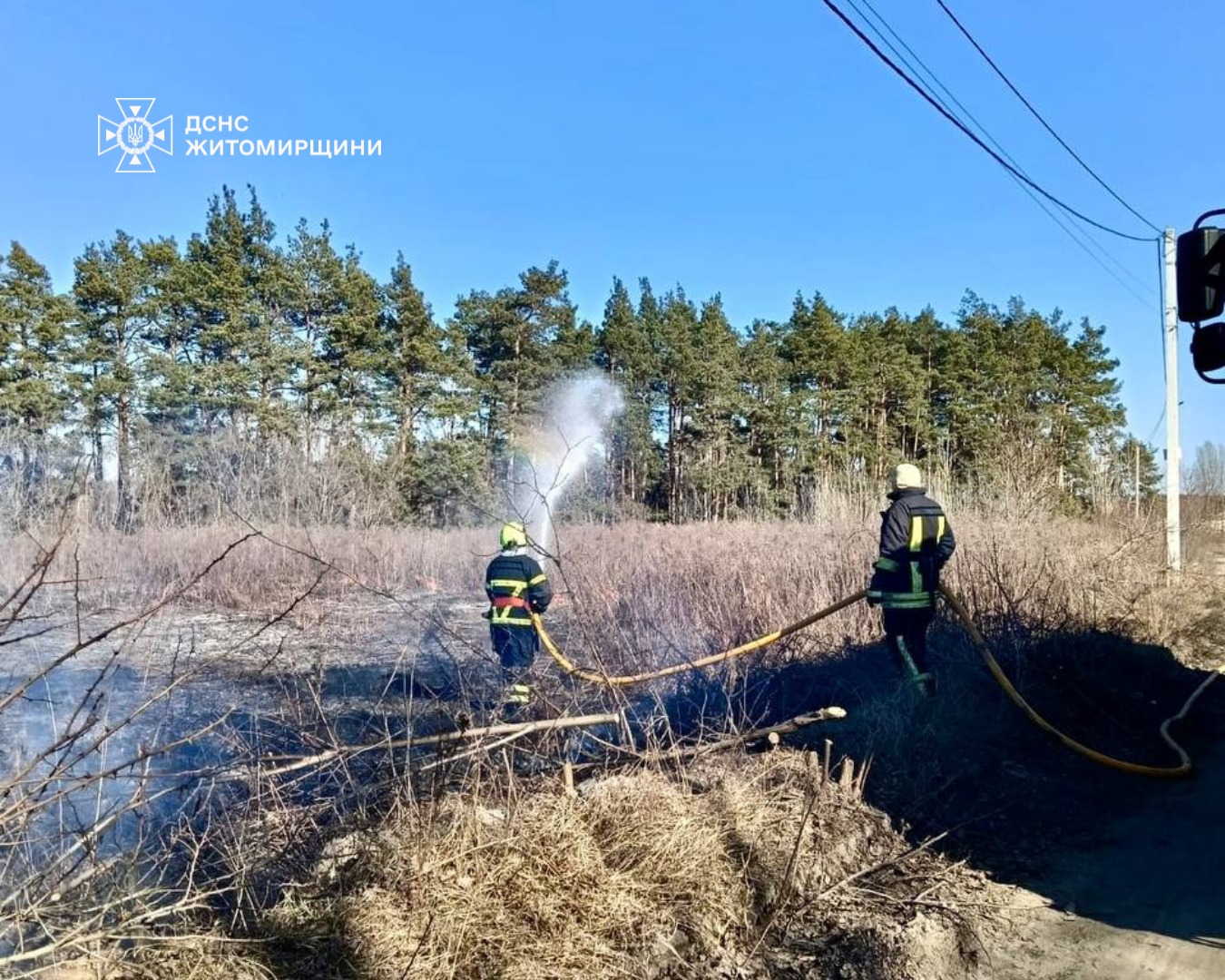Новини Житомира - фото з За вихідні на Житомирщині під час пожеж сухої рослинності травмувалися двоє людей