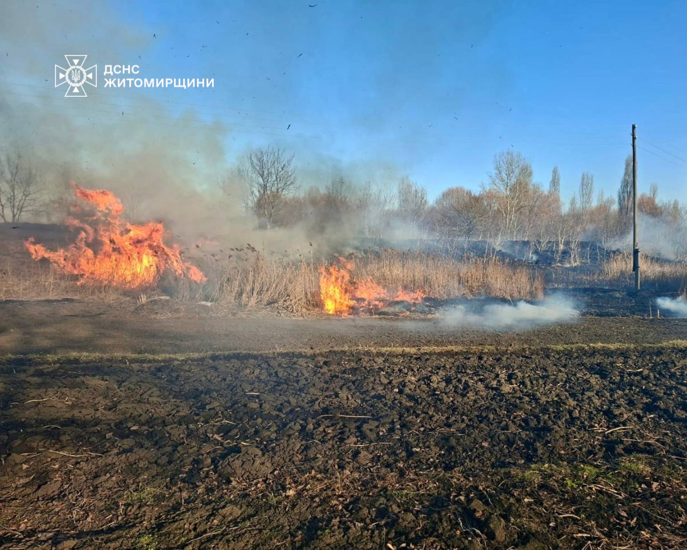 Новини Житомира - фото з За вихідні на Житомирщині під час пожеж сухої рослинності травмувалися двоє людей
