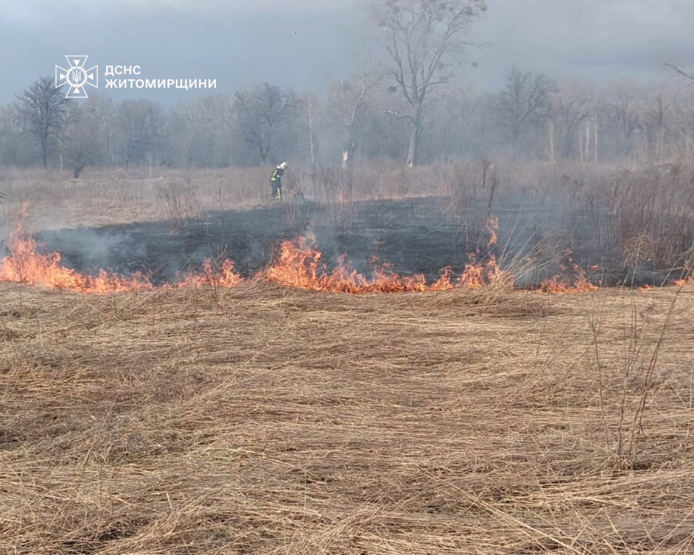Новини Житомира - фото з Рятувальники Житомирщини продовжують приборкувати пожежі в екосистемах