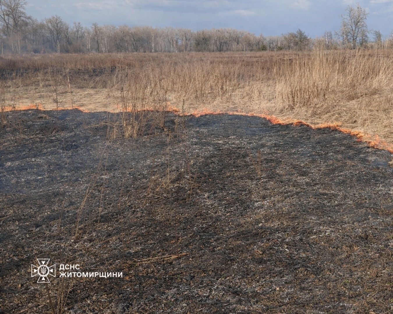 Новини Житомира - фото з Рятувальники Житомирщини продовжують приборкувати пожежі в екосистемах