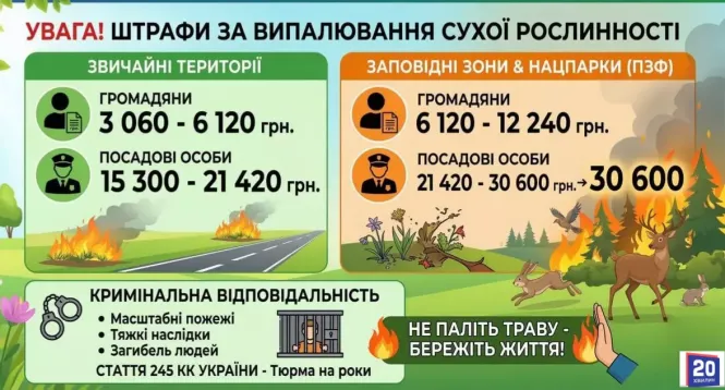 Новини Вінниці - фото з Вогонь знищує все: за добу на Вінниччині вигоріли гектари землі та загинули сотні тварин