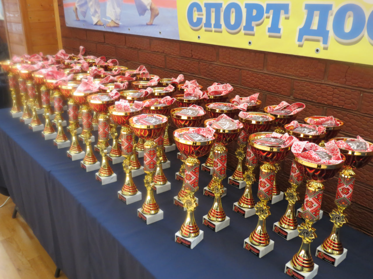 Новини Вінниці - фото з У Вінниці вперше пройшов турнір за правилами Real Fight Zendokai