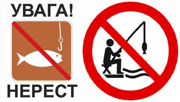 Новини Вінниці - фото з На Вінниччині розпочинається нерест. Коли і де діятимуть обмеження на вилов риби