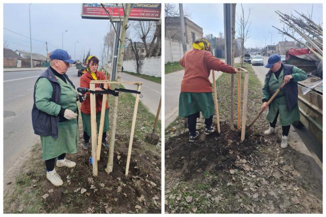 Новини Вінниці - фото з Клени, платани та тюльпанові дерева: де у Вінниці вже стартувало озеленення і що посадять цього сезону