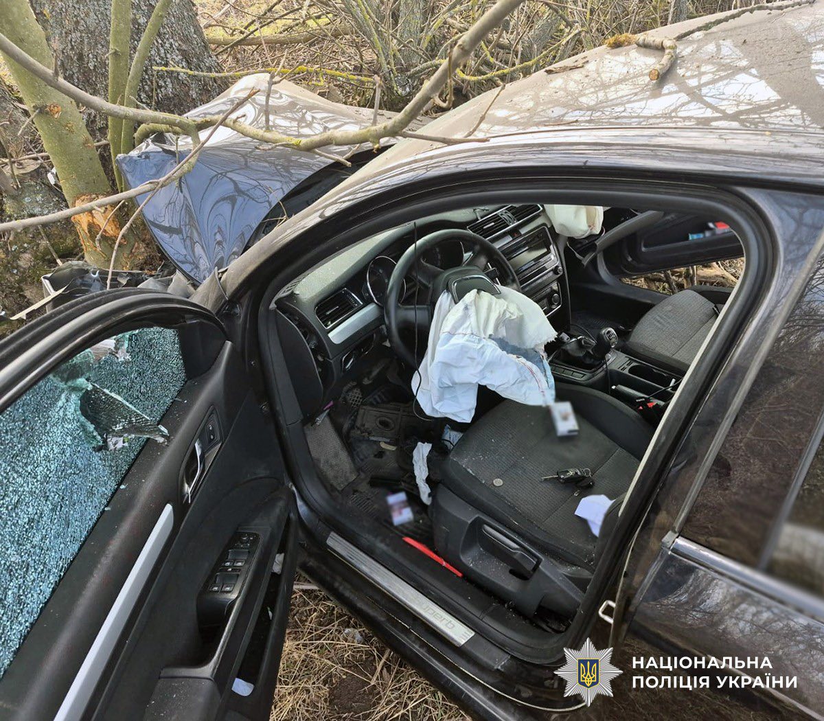 Новини Житомира - фото з Смертельна ДТП у Новому Солотвині:після зіткнення з деревом загинув водій автомобіля Skoda Superb