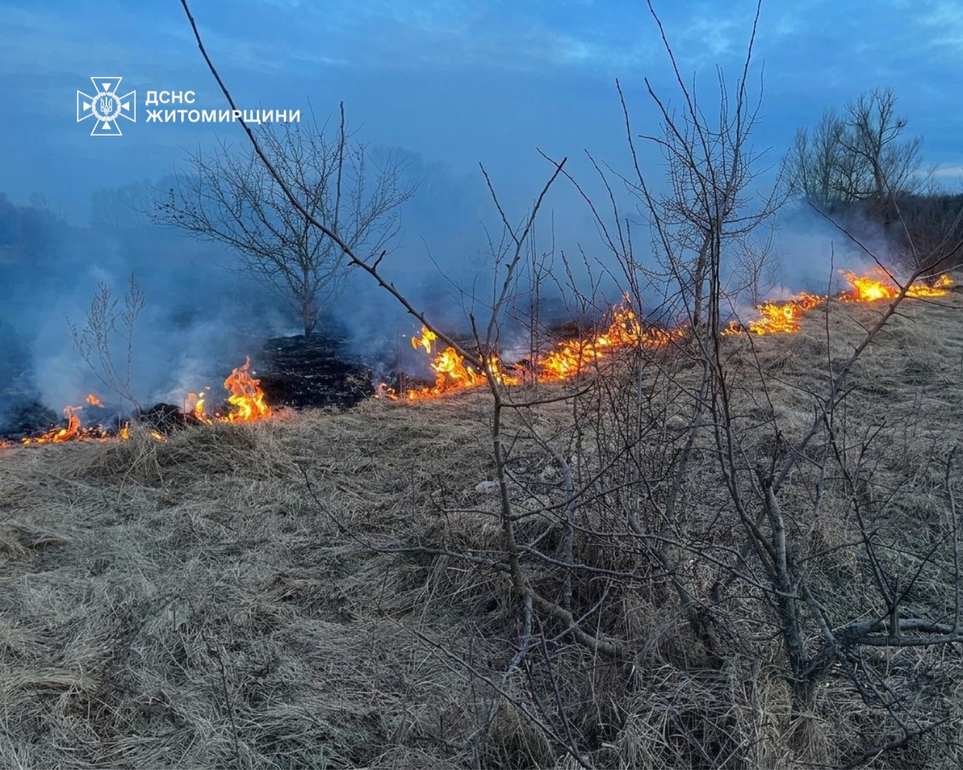 Новини Житомира - фото з За минулу добу вогнеборці Житомирщини ліквідували 20 пожеж сухої рослинності