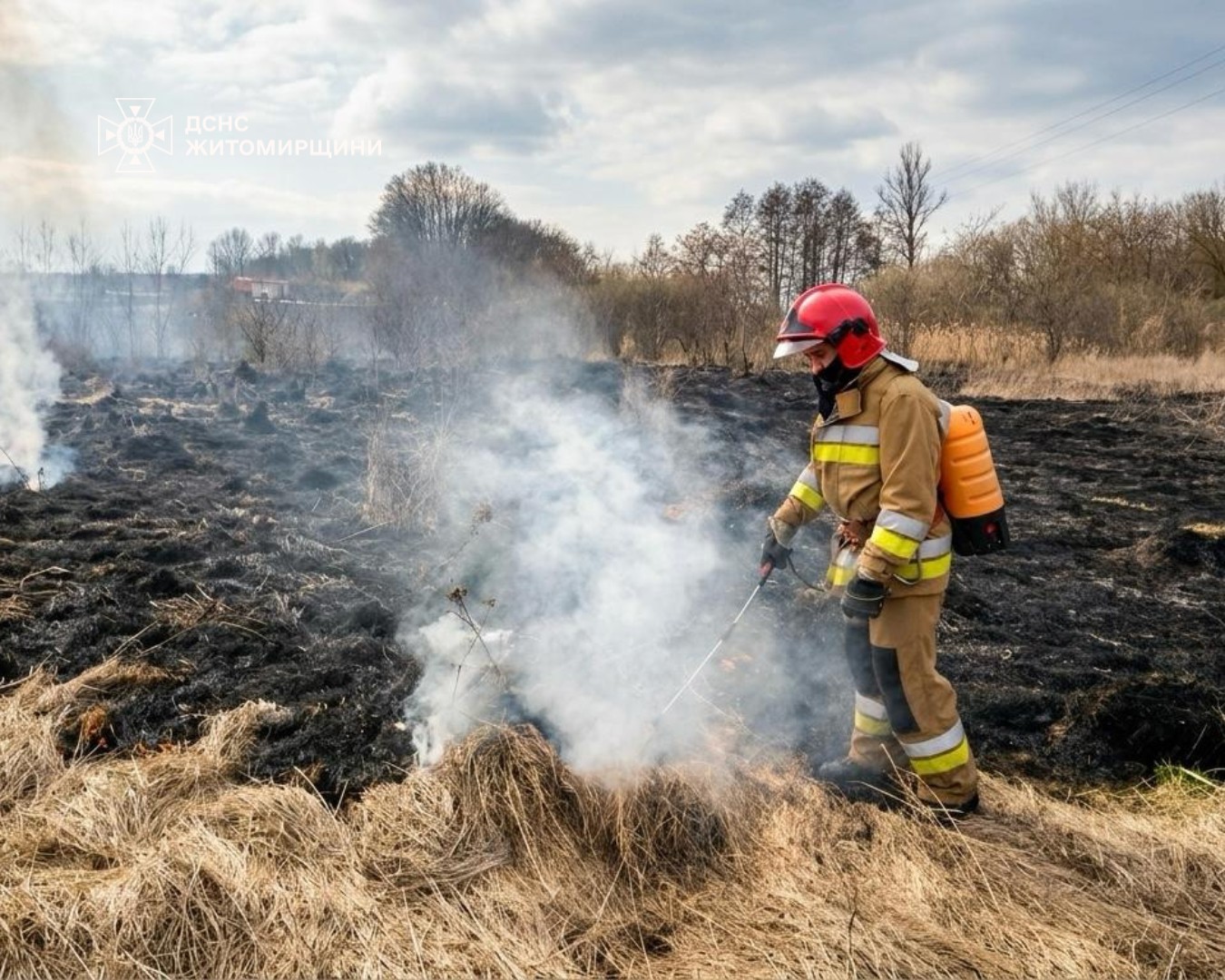 Новини Житомира - фото з За минулу добу вогнеборці Житомирщини ліквідували 20 пожеж сухої рослинності