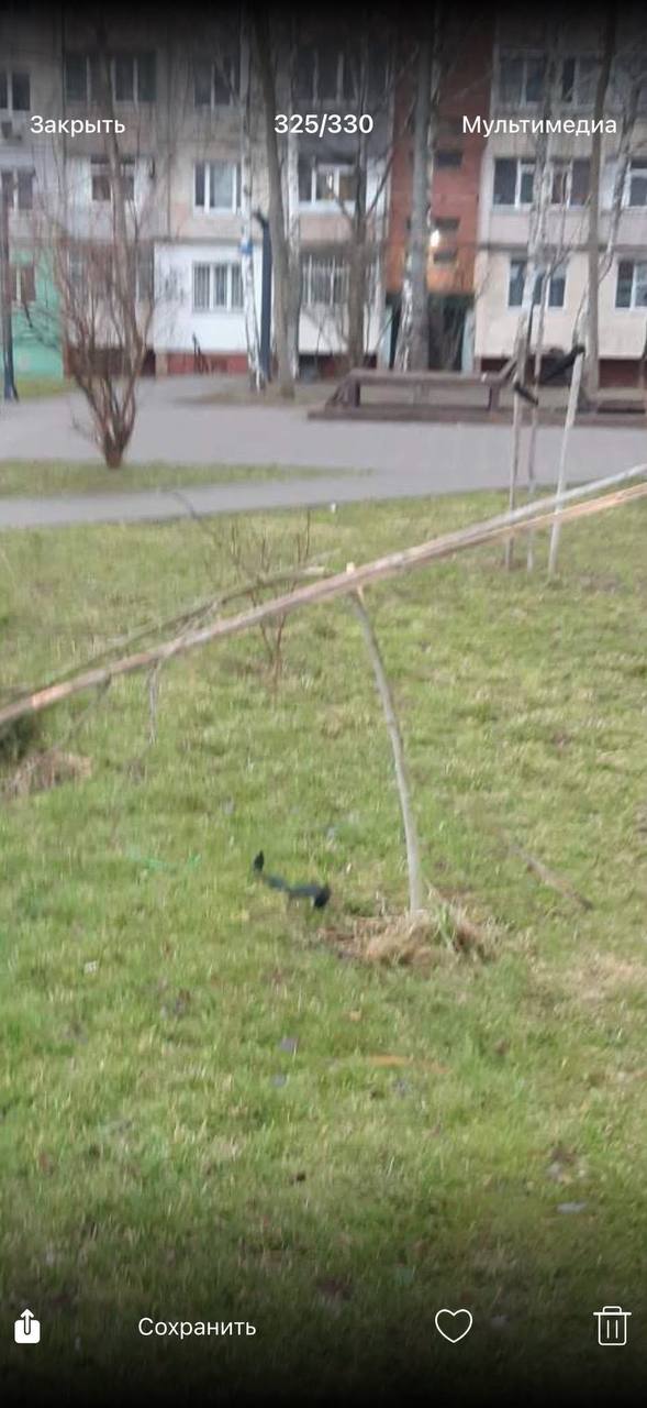 Новини Житомира - фото з У Житомирі вчинили черговий вандалізм - соцмережі. ВІДЕО