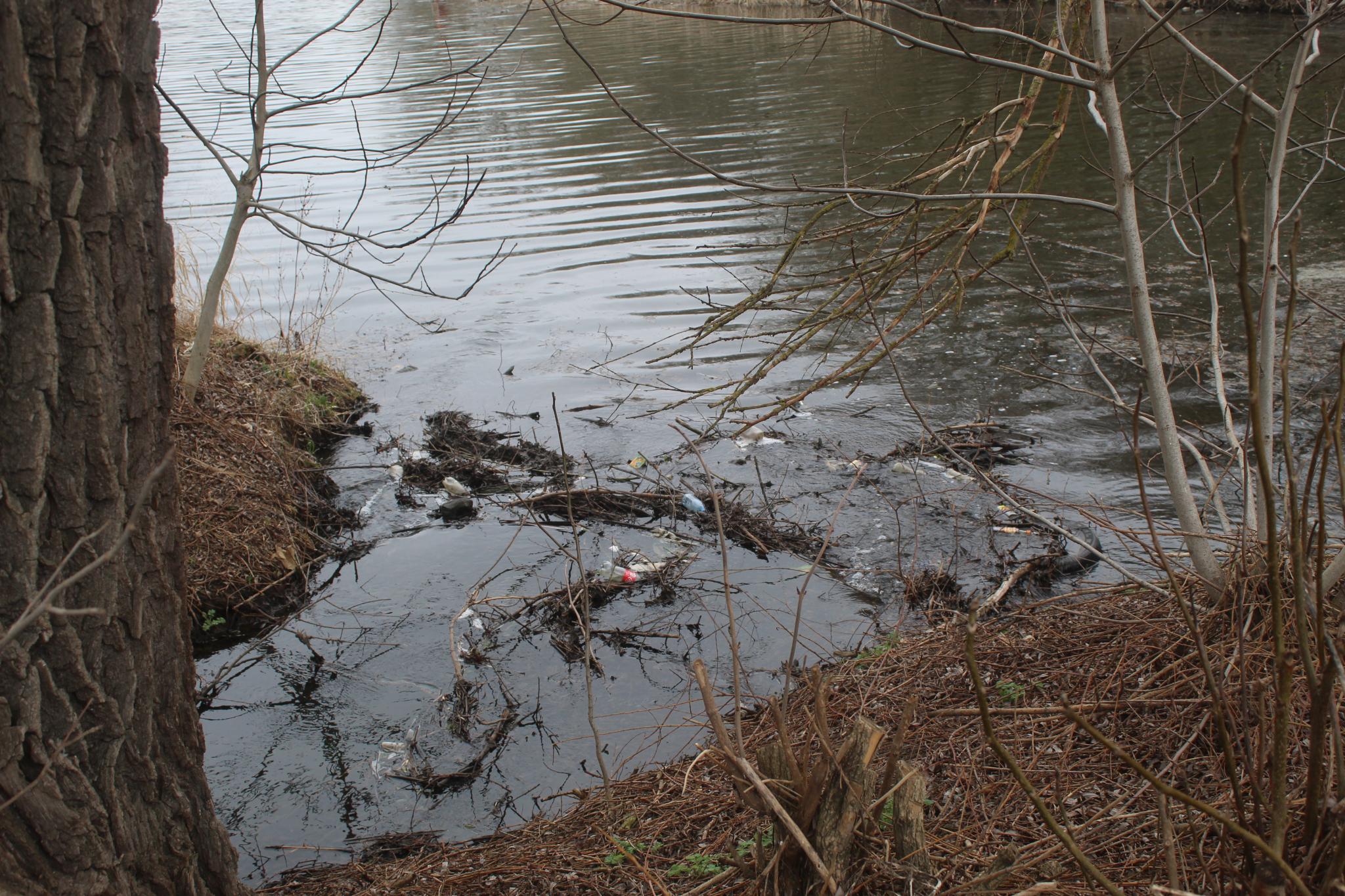 Новини Козятина - фото з «Було не по собі, коли тягнули до ями майже 30-кілограмового товстолоба»