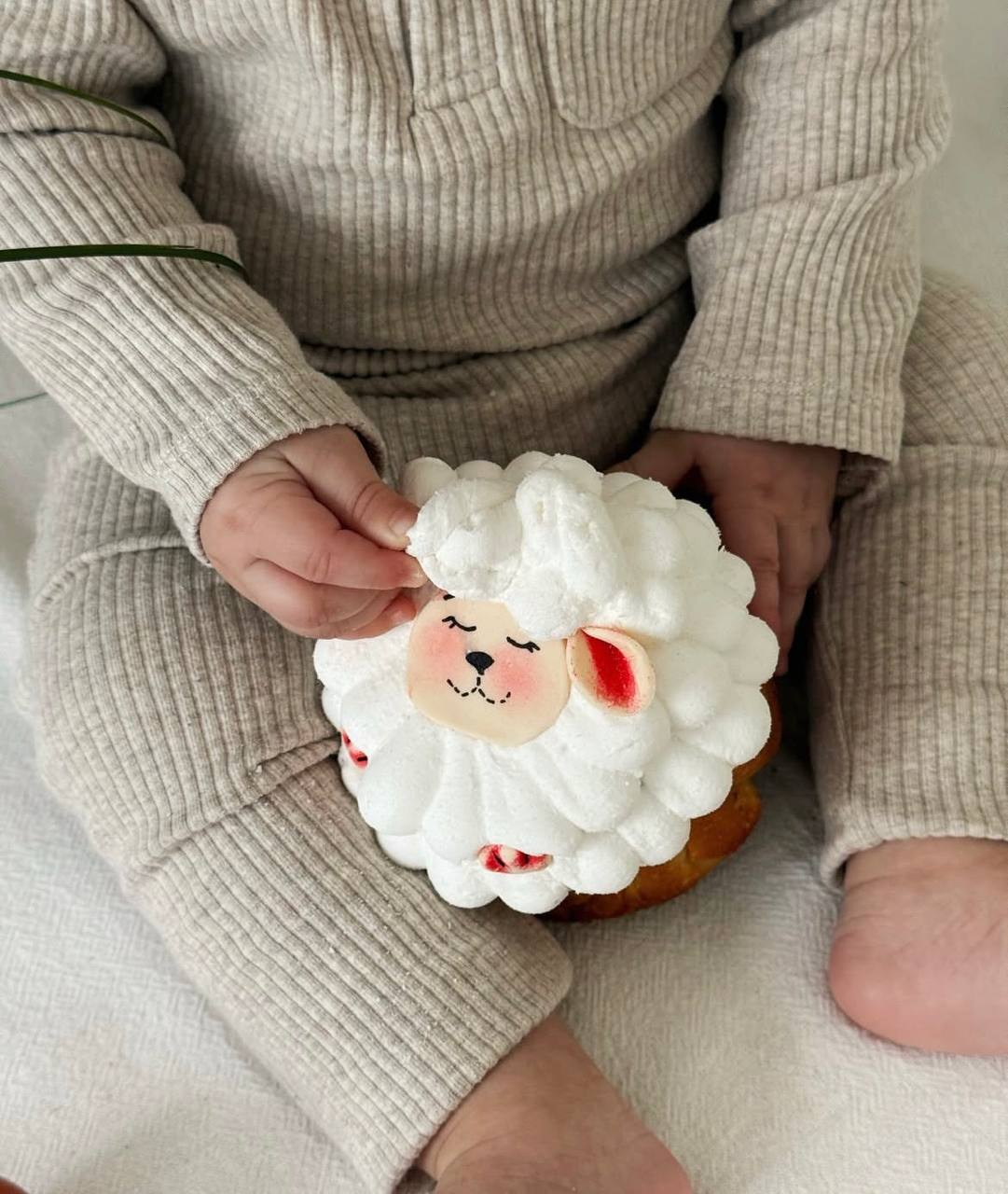 Новини Тернополя - фото з З маршмелоу, фісташками, коньяком чи класичні: від 100 до 1 150 гривень коштують авторські паски у Тернополі