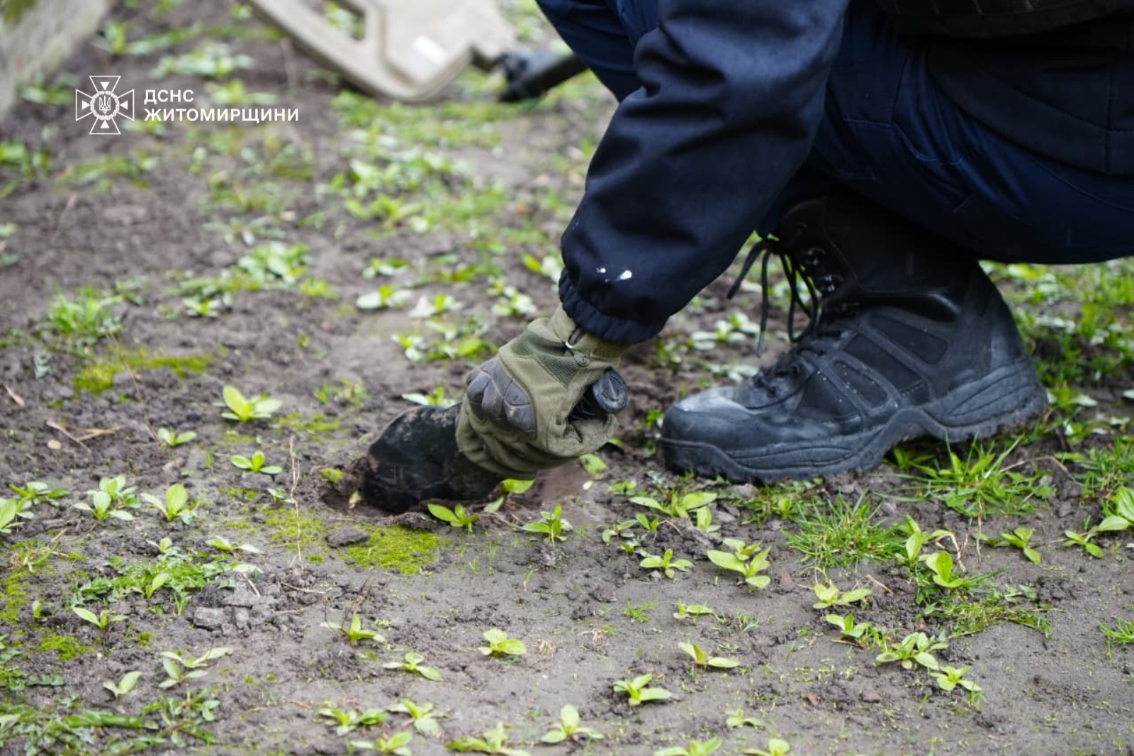Новини Житомира - фото з Піротехніки знешкодили 17 вибухонебезпечних предметів, виявлених місцевими жителями в Житомирському районі