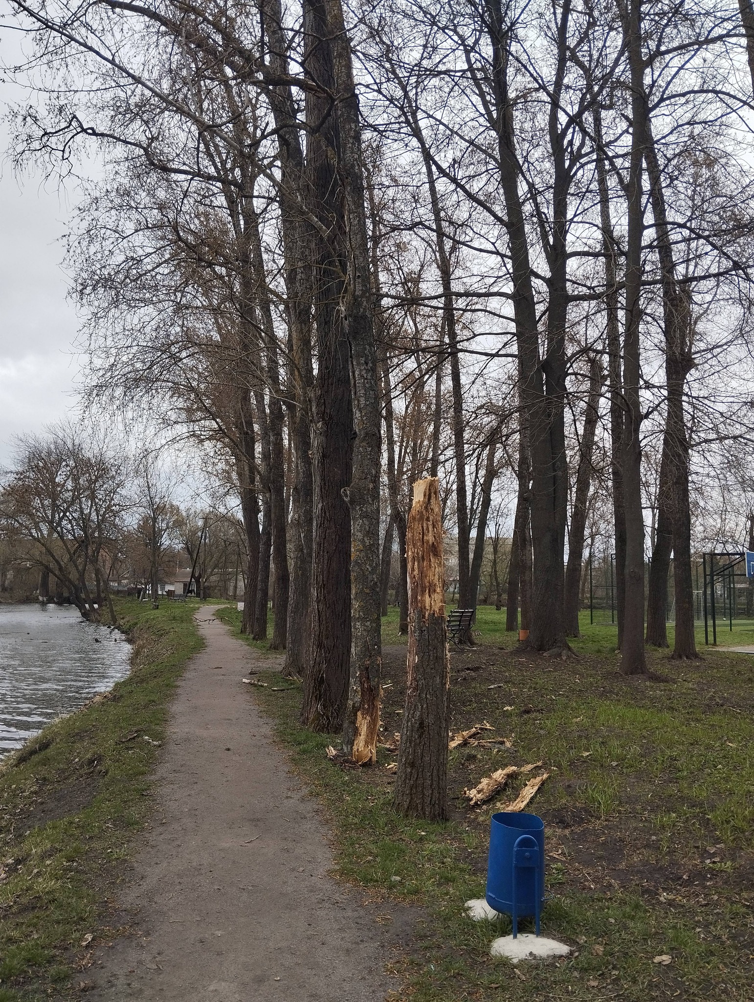 Новини Козятина - фото з На стадіоні у Козятині від вітру тріщать дерева. Просять утриматися від прогулянок