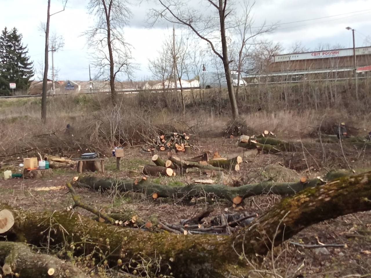 Новини Вінниці - фото з Парк, який садили мешканці, почали вирубувати: що відомо про ситуацію у Стрижавці