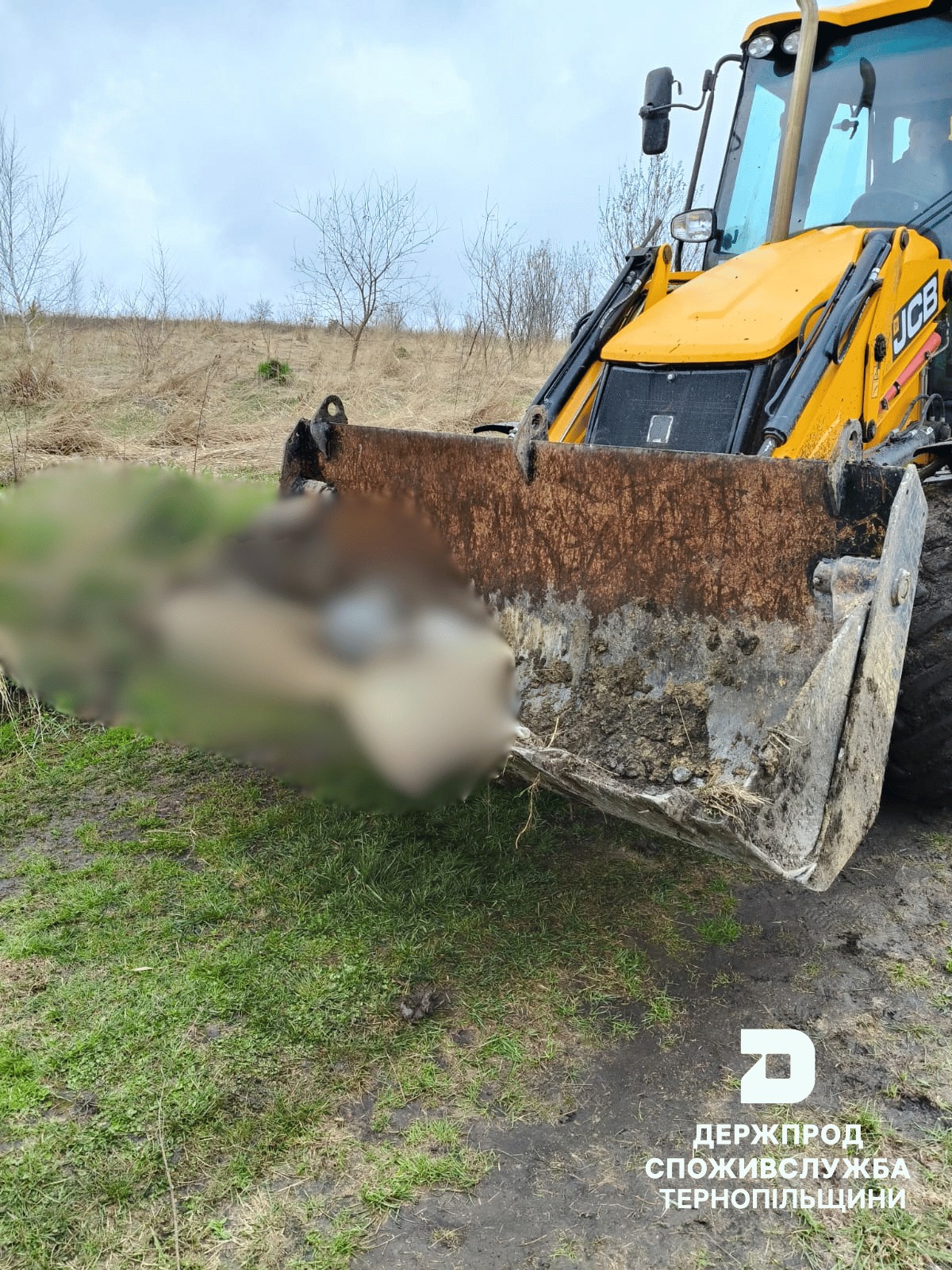 Новини Тернополя - фото з Поблизу Підгороднього виявили двох загиблих тварин
