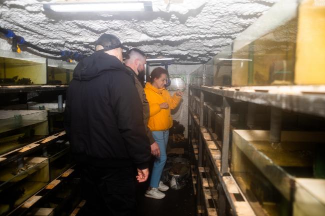 Новини Вінниці - фото з Ветеран відкрив креветкову ферму на Вінниччині та розповів як відбуваються процеси всередині