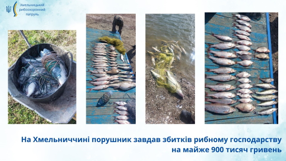 На Дністрі у Хмельницькій області під час нересту затримали браконьєра з уловом на 900 тисяч гривень