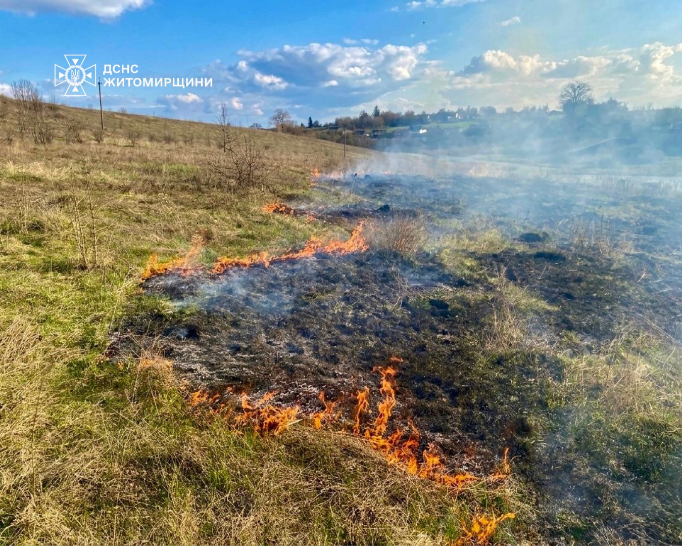Новини Житомира - фото з Учора рятувальники Житомирщини 3 рази залучалися до гасіння пожеж на відкритих територіях