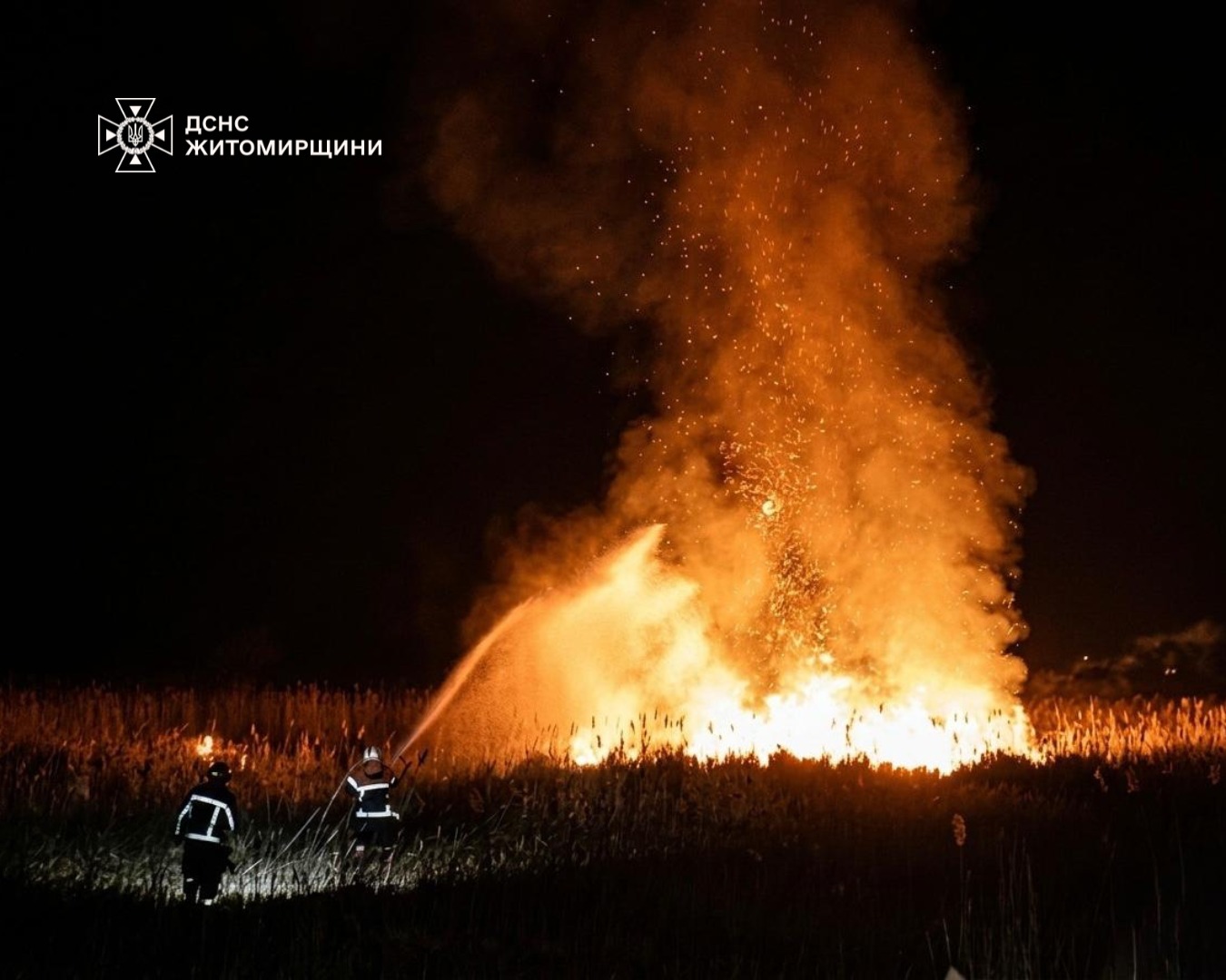 Новини Житомира - фото з Учора рятувальники Житомирщини 3 рази залучалися до гасіння пожеж на відкритих територіях
