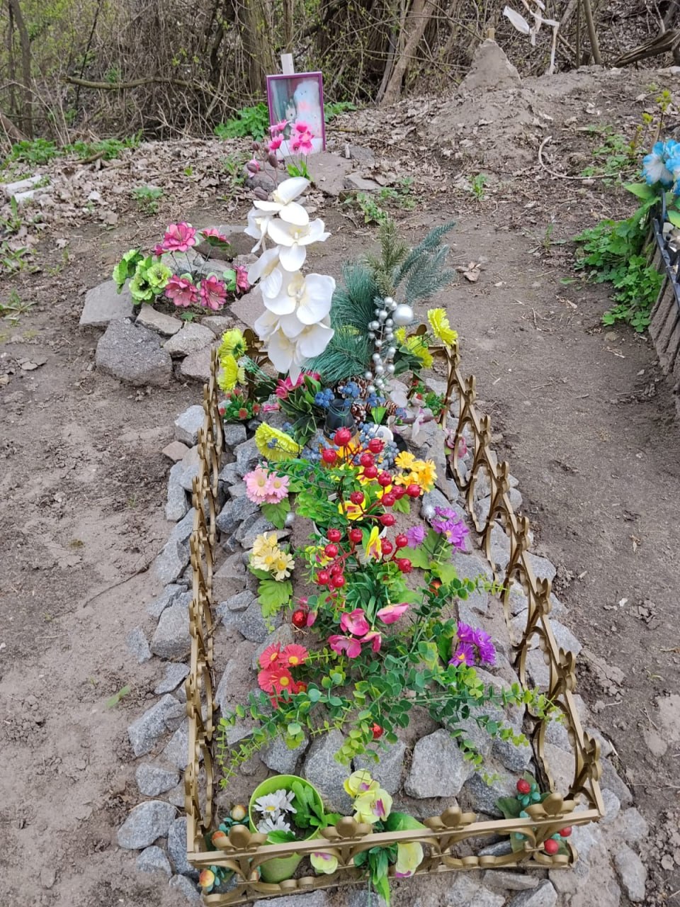 Новини Житомира - фото з Пам’ять чи загроза: як Україна (і Житомирщина) шукає цивілізований підхід до поховання домашніх тварин