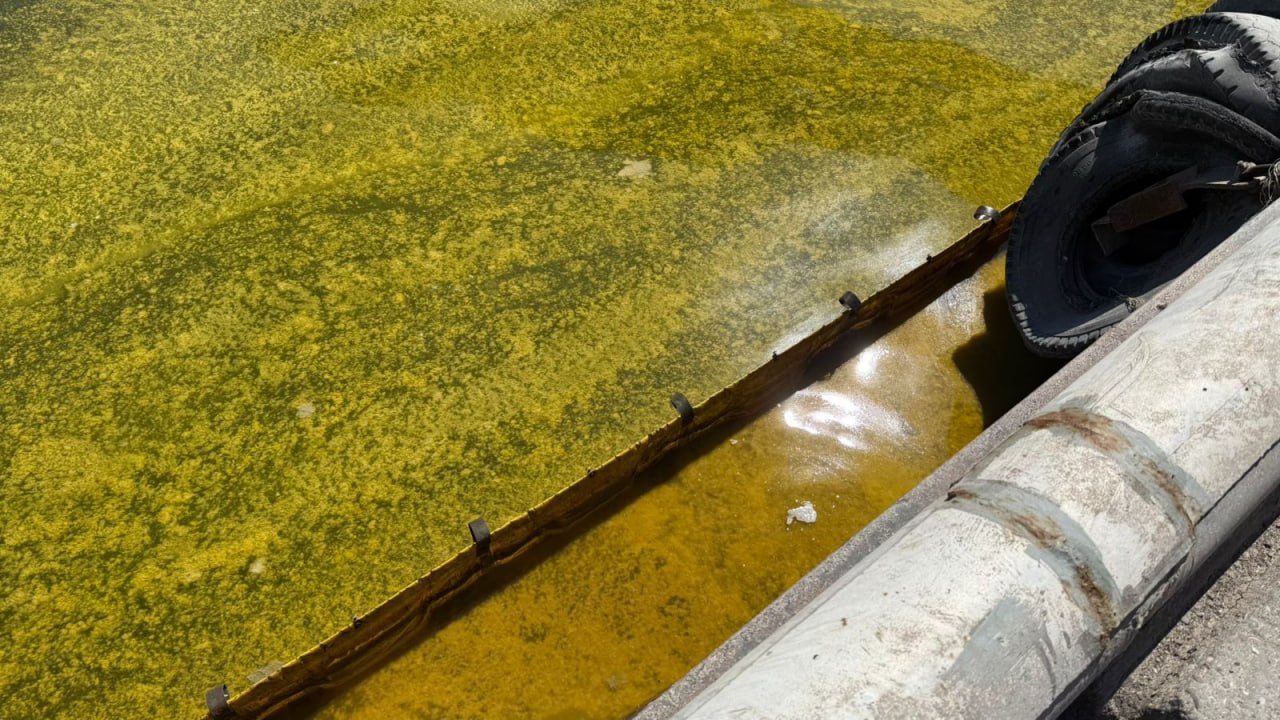 Через російські удари в Чорне море вилились тисячі тонн олії