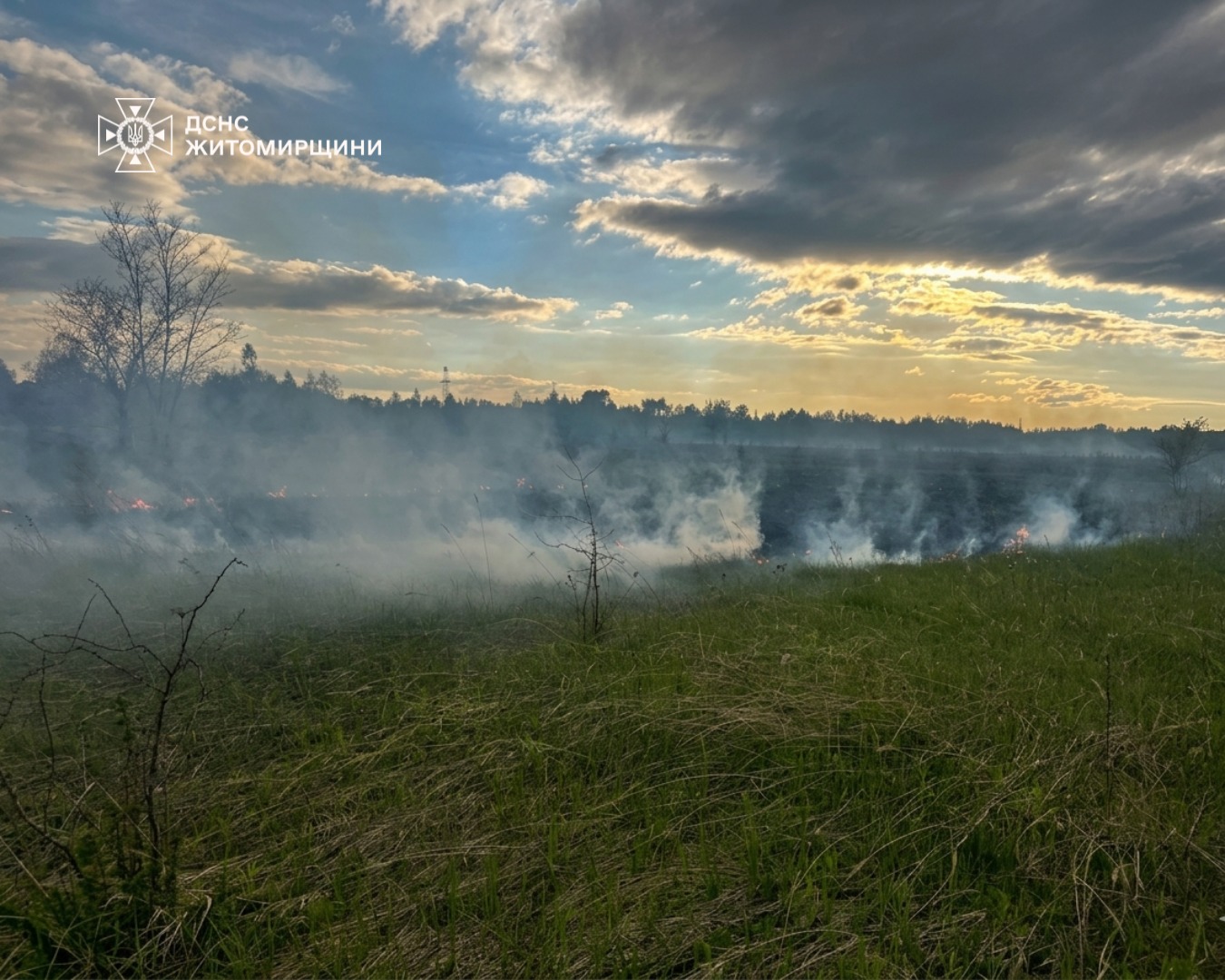 Новини Житомира - фото з У Коростені ліквідували пожежу на 1,5 гектара відкритої території
