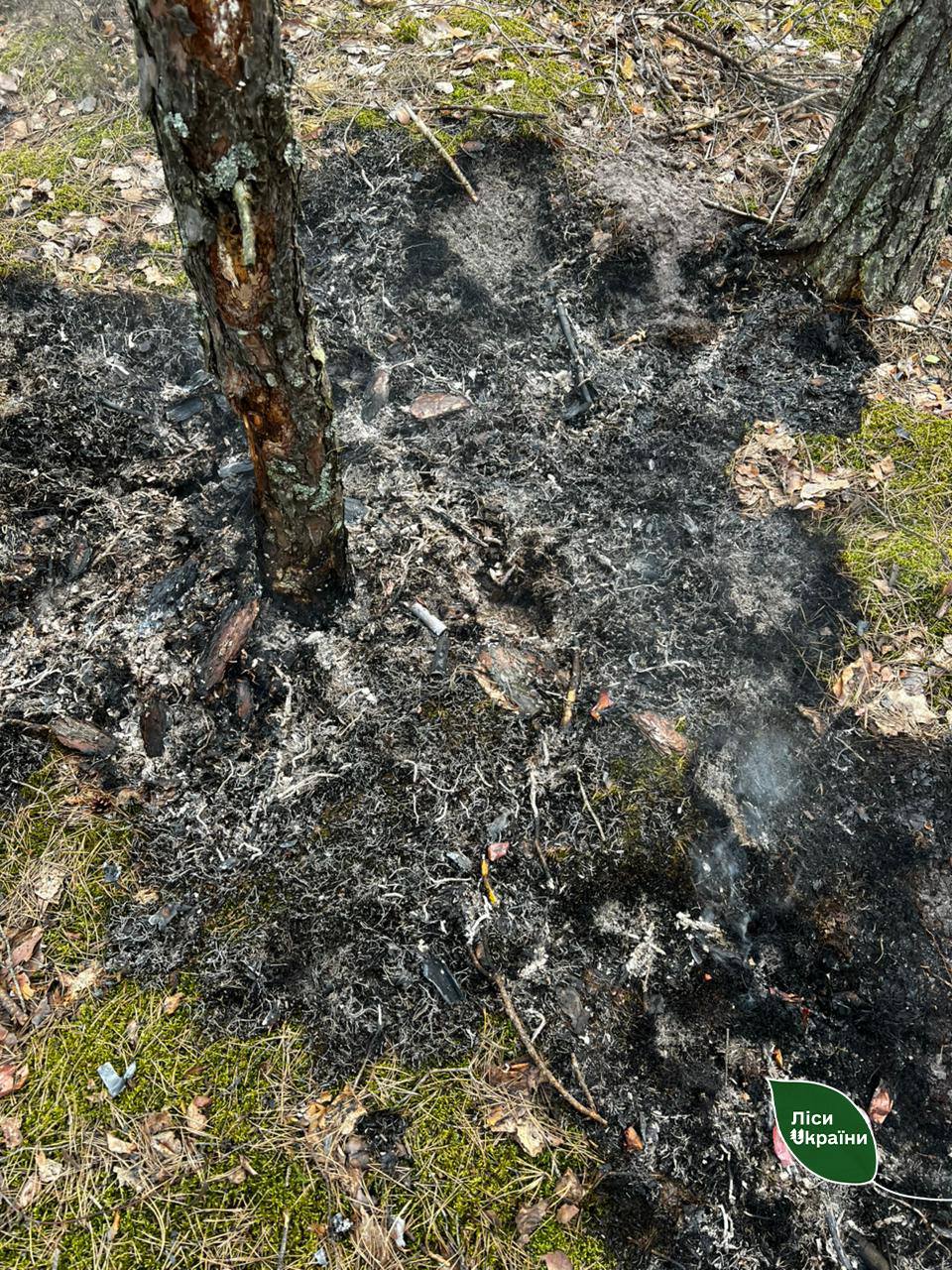 Новини Житомира - фото з Після падіння уламків ворожого дрона у Словечанському надлісництві спалахнула лісова пожежа!