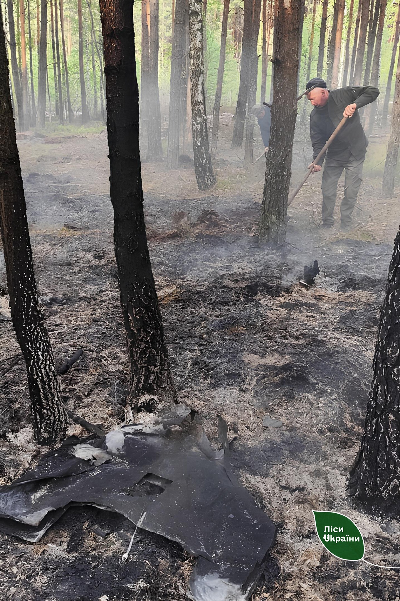 Новини Житомира - фото з Після падіння уламків ворожого дрона у Словечанському надлісництві спалахнула лісова пожежа!