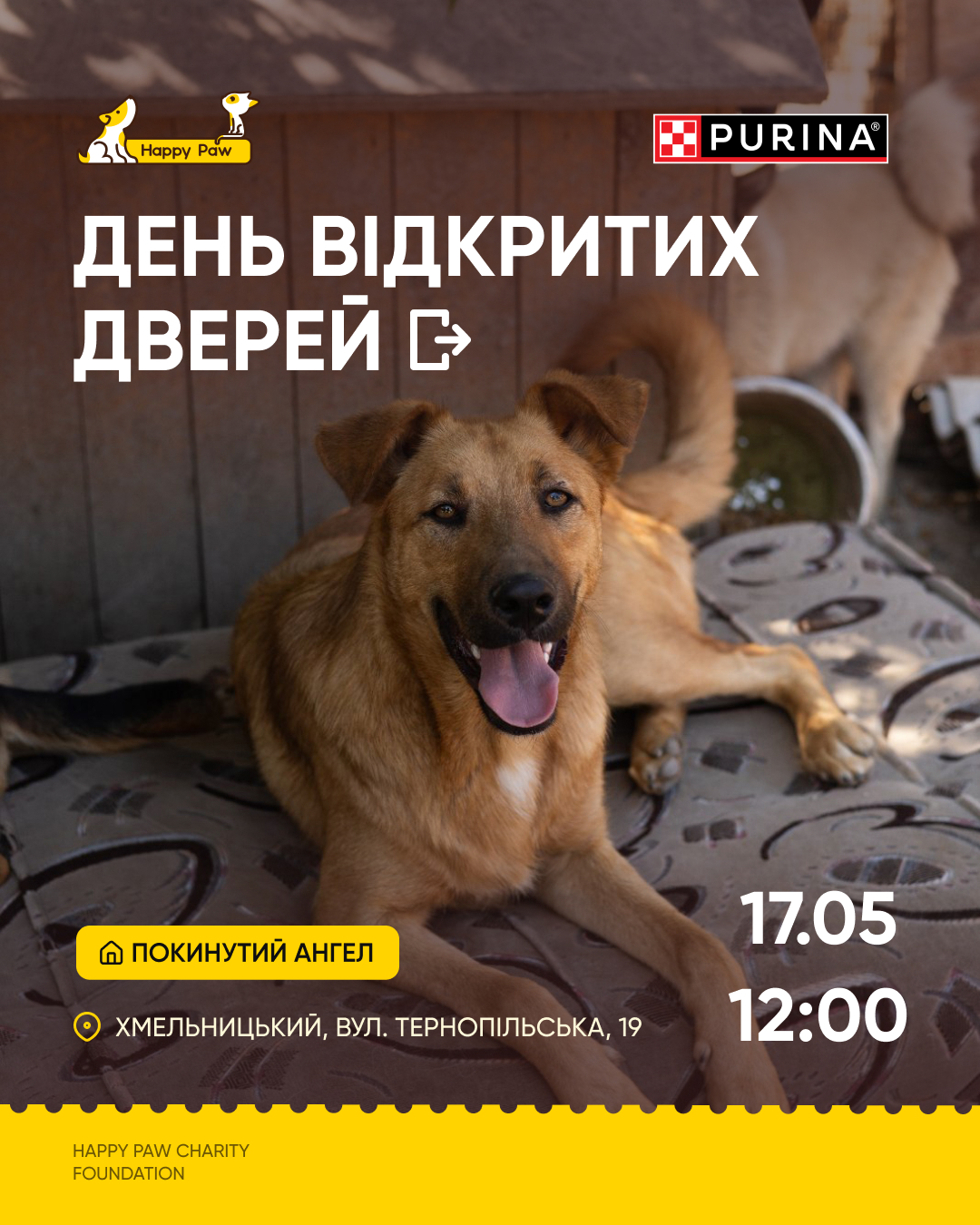 Новини Хмельницького - фото з У гості до пухнастиків: День відкритих дверей у хмельницькому притулку для тварин (соціальна реклама)