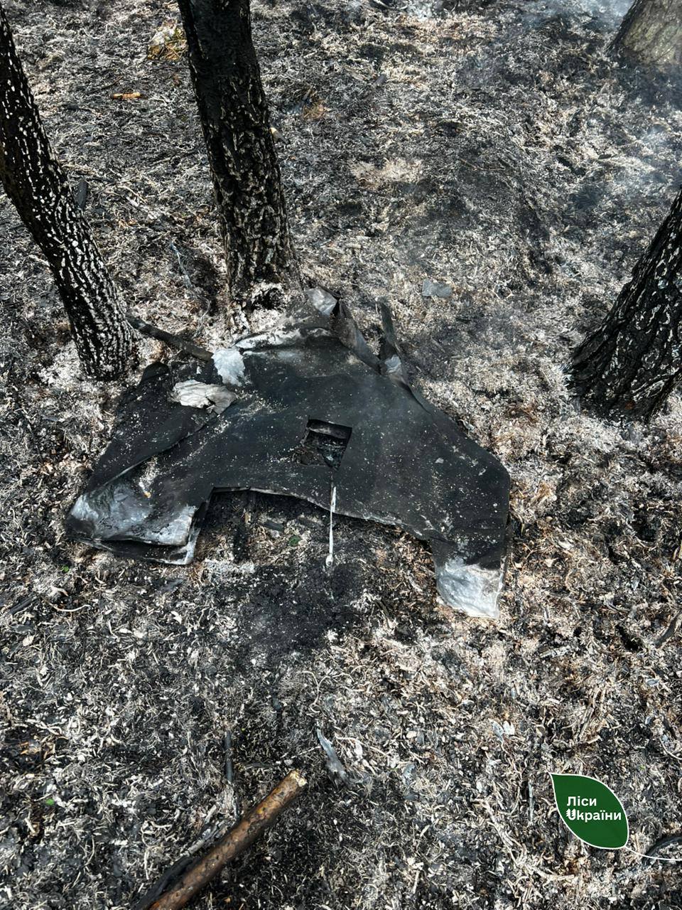 Новини Житомира - фото з Після падіння уламків ворожого дрона у Словечанському надлісництві спалахнула лісова пожежа!