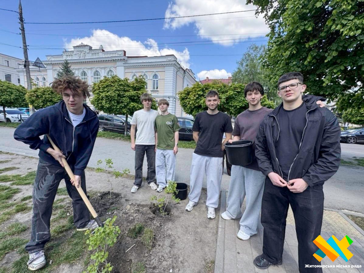 Новини Житомира - фото з Біля ліцею №23 у Житомирі висадили калинову алею