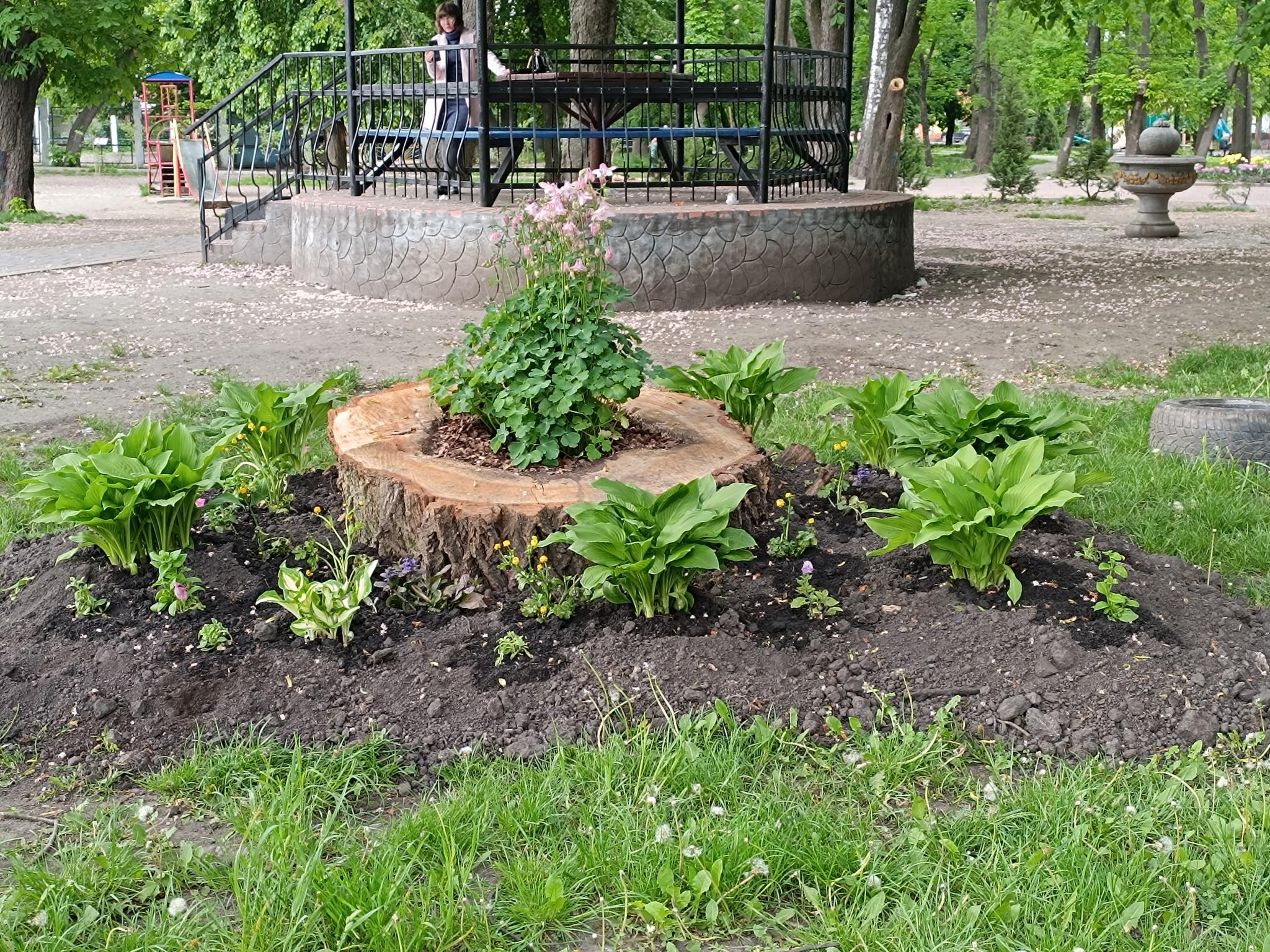 Новини Козятина - фото з Перетворили пеньки на креативні квітники