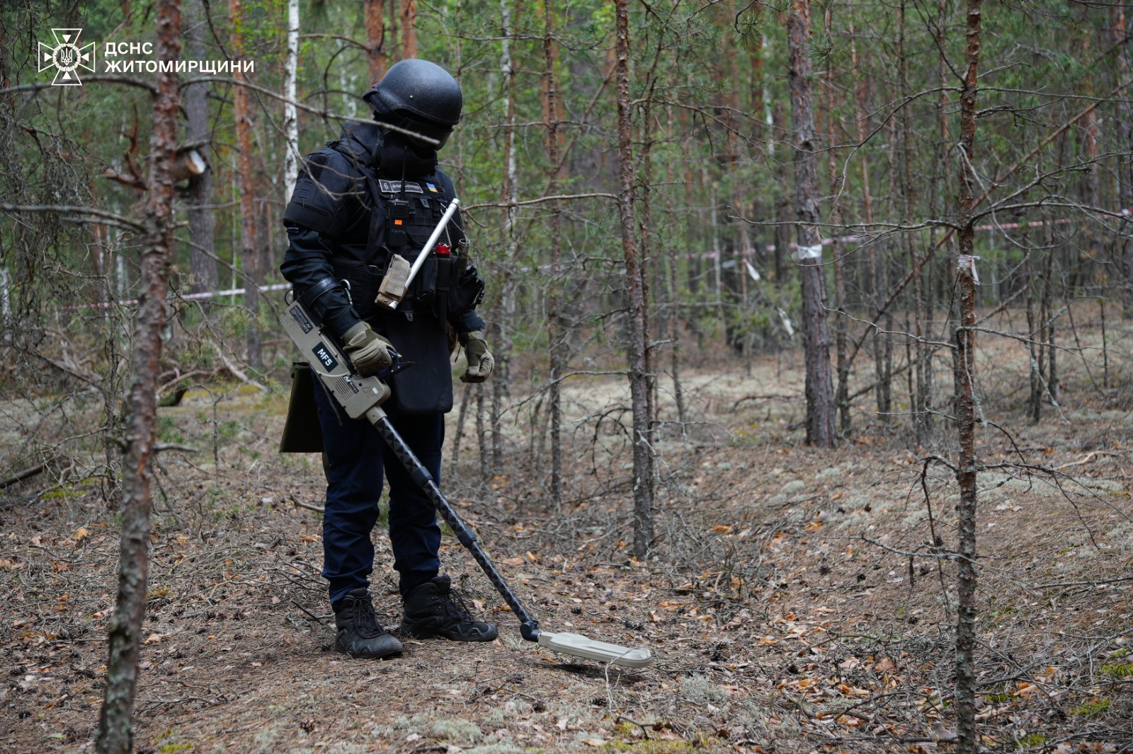 Новини Житомира - фото з Пожежу на території Поліського природного заповідника ліквідовано