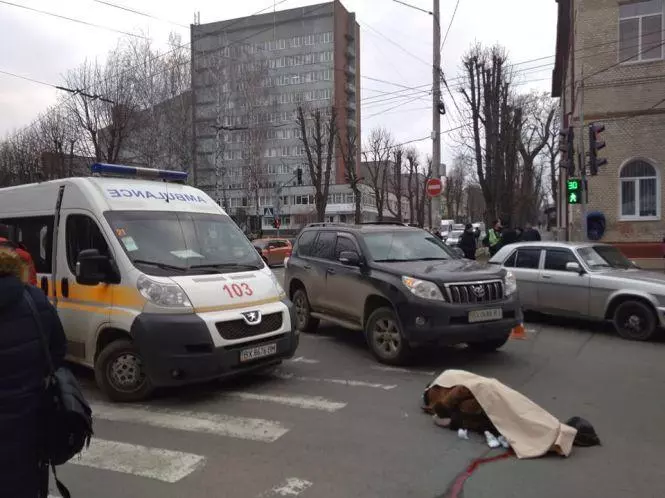 Новини Хмельницького - фото з 6 історій смертельних ДТП із пішоходами у Хмельницькому