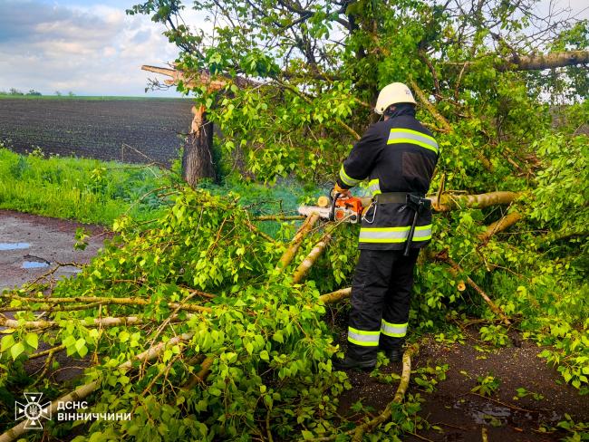Новини Вінниці - фото з Через негоду на Вінниччині падали дерева. Рятувальники двічі розчищали автошляхи