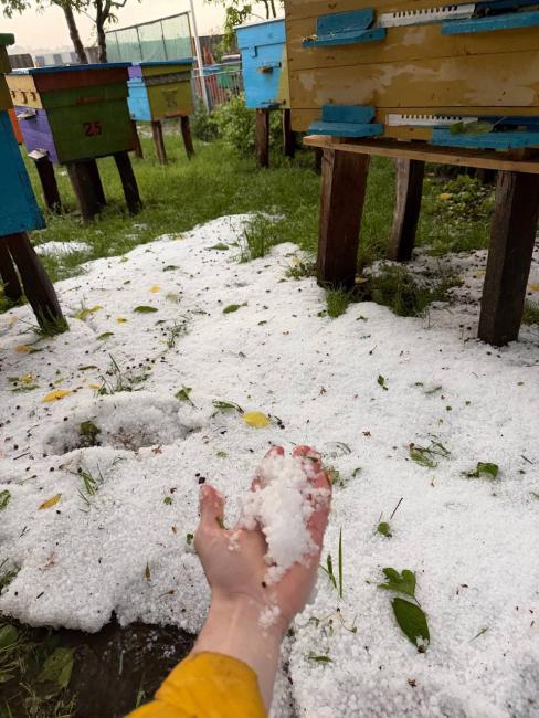 Новини Вінниці - фото з Село на Бершадщині засипало градом. Які ще сюрпризи готує погода