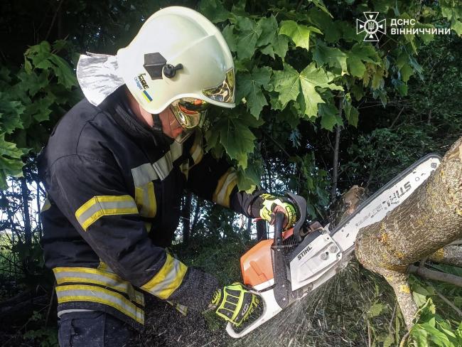 Новини Вінниці - фото з Через негоду на Вінниччині падали дерева та блокували траси